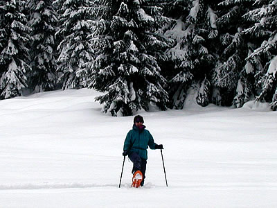 Ski Rent Snowshoe Verleih, Seefeld